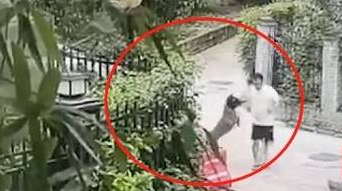 孩童被大狗扑咬,狗主人不承认看监控后改口 孩童被大狗扑咬,狗主人不承认看监控后改口