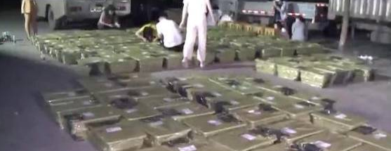 成都出现“宠物盲盒”，盒内小动物奄奄一息