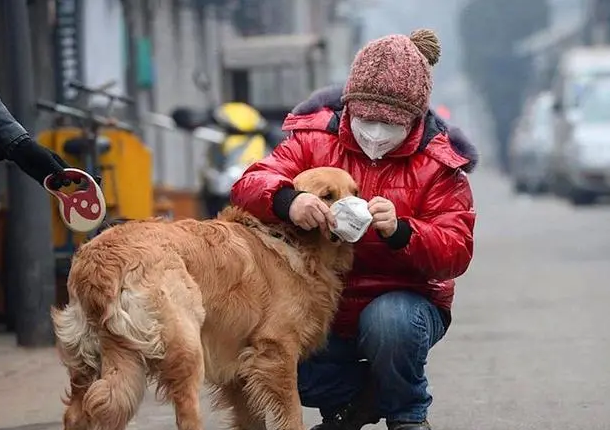 阳性人员家中的宠物怎么办