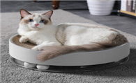 猫玩具排行榜