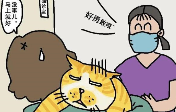 怎样挑选一家靠谱的宠物医院? 怎样挑选一家靠谱的宠物医院?