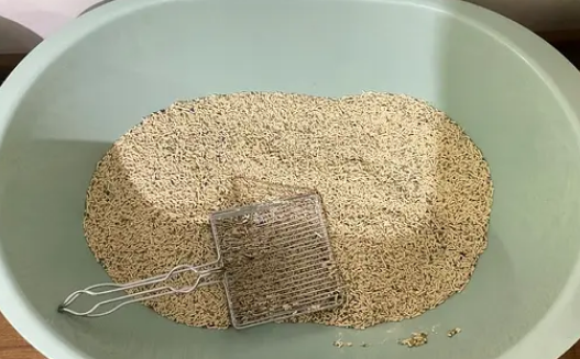 猫砂可以放阳台吗