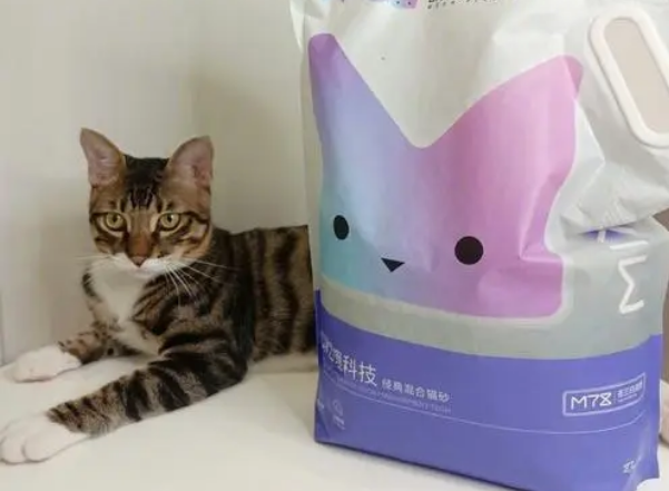 混合猫砂好用吗 混合猫砂好用吗