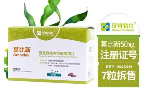猫感冒用什么药
