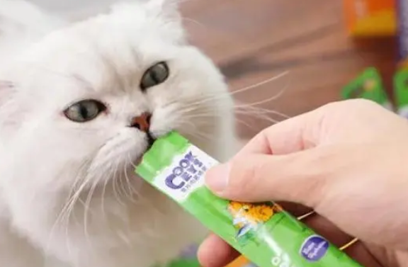 猫条的味道十分鲜美,对猫有很大的诱惑力,给猫吃猫条好不好 猫条的味道十分鲜美,对猫有很大的诱惑力,给猫吃猫条好不好