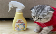 给猫咪消毒用什么消毒液好