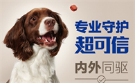 狗狗体内体外驱虫药哪种好
