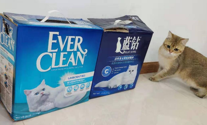 猫砂牌子哪个好 猫砂牌子哪个好
