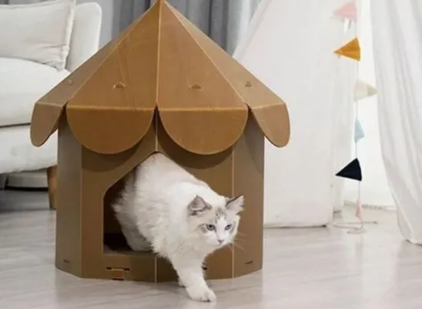 猫咪喜欢怎样的窝