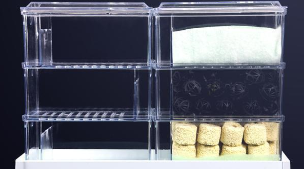 鱼缸水质要想调理到最清澈的状态,我们可以参考四种方法! 鱼缸水质要想调理到最清澈的状态,我们可以参考四种方法!