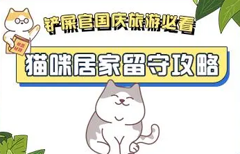 国庆长假,猫咪寄养还是带回家?猫咪居家留守攻略 国庆长假,猫咪寄养还是带回家?猫咪居家留守攻略