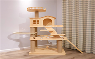 猫有什么玩具 猫有什么玩具
