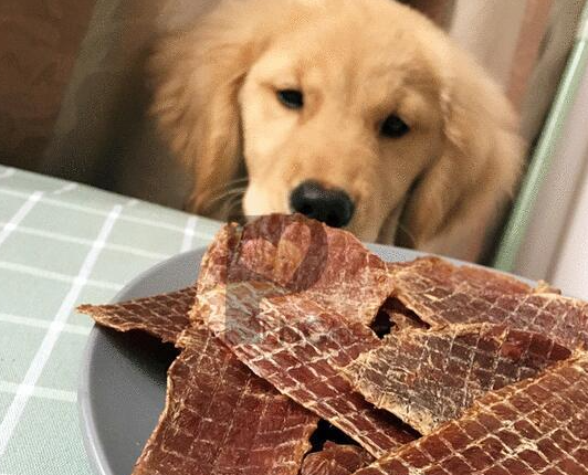 世界狗零食十大品牌