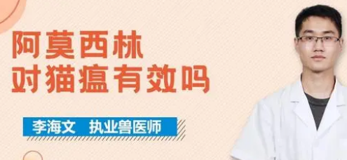 阿莫西林对猫瘟有效吗 阿莫西林对猫瘟有效吗