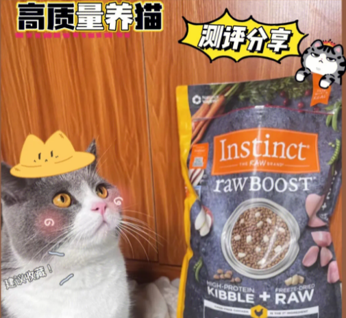 口碑较好的猫粮