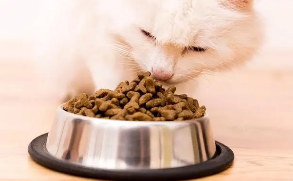50克猫粮大概是多少