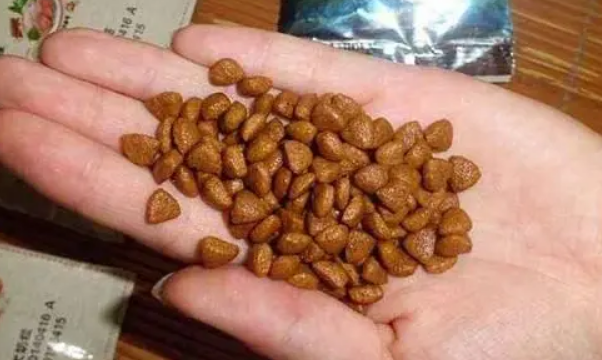 20克狗粮有多少粒