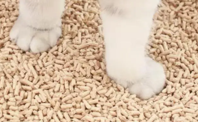 猫砂是怎么做的