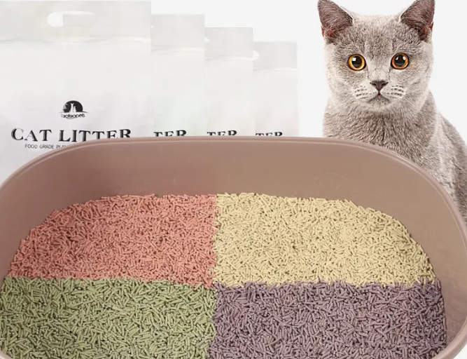 6l的猫砂能用多久