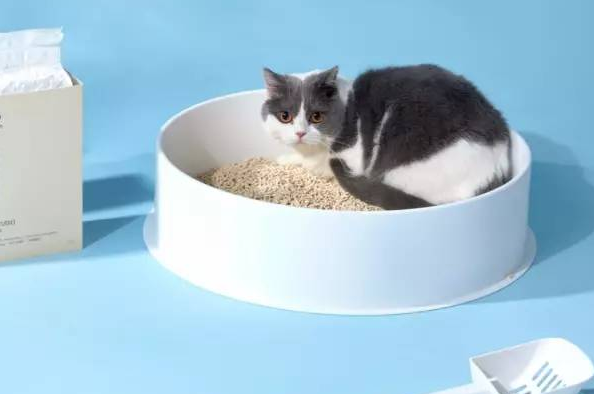 5l猫砂多少斤