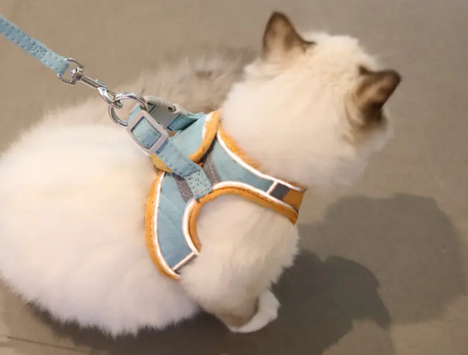 怎么样自己做猫的牵引绳