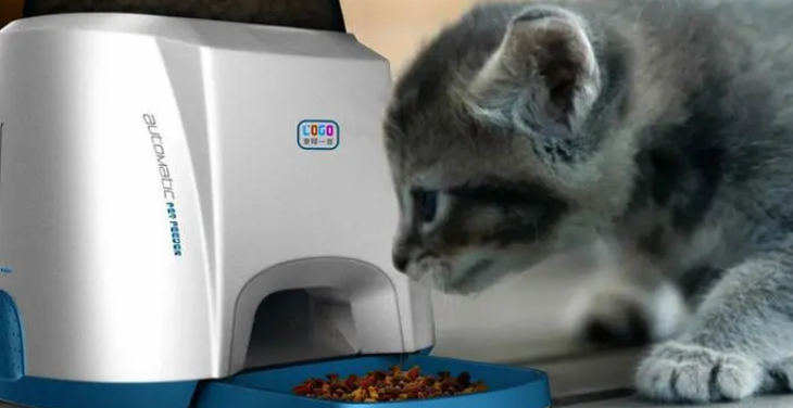 宠物喂食器介绍