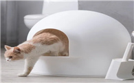 猫砂要多久换一次