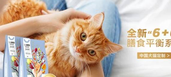 便宜又健康的猫粮品牌