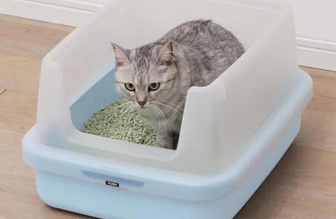 猫砂生产厂家哪几家好 猫砂生产厂家哪几家好