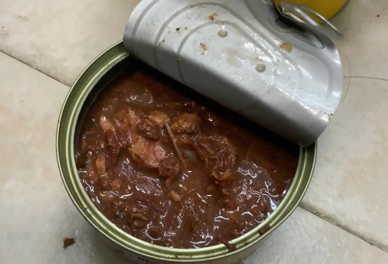 猫罐头多久一个