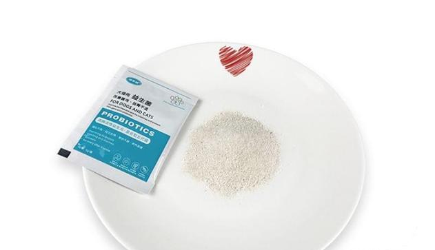 狗狗在什么情况吃益生菌呢？4大方面详解益生菌！