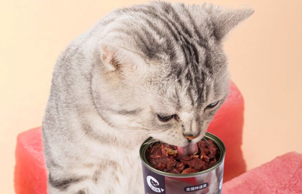 猫吃金枪鱼罐头好不好