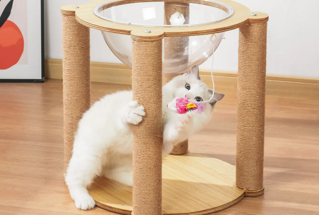 猫架是玩具吗