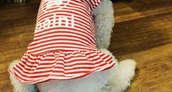 宠物狗衣服品牌有哪些 宠物狗衣服品牌有哪些