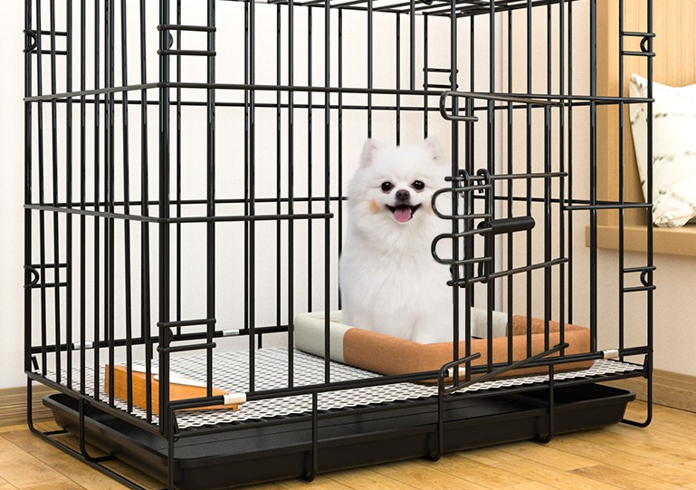 狗可以用猫笼吗 狗可以用猫笼吗