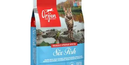便宜的猫粮什么牌子的好 便宜的猫粮什么牌子的好