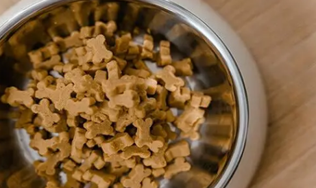 狗粮一袋多少钱