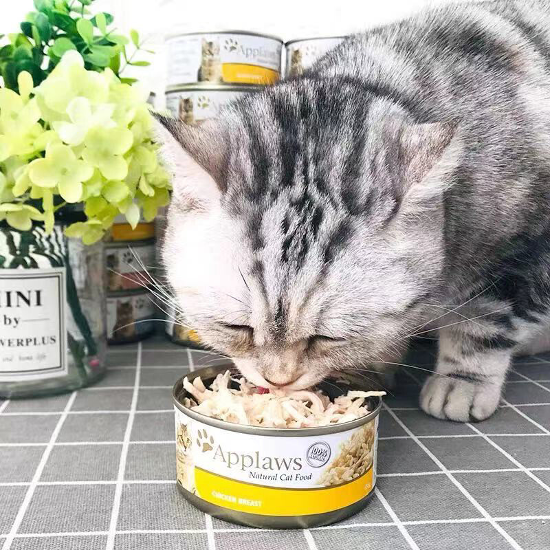 猫罐头50克相当多少克猫粮
