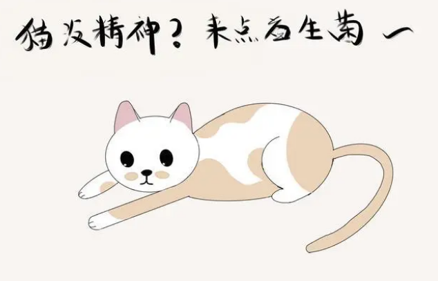猫腹泻便秘喂益生菌就好，益生菌可以“治百病”？一文告知