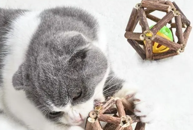 猫咪玩具买什么好