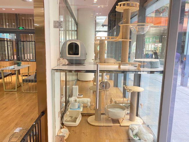 自助宠物洗澡店加盟