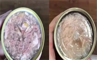 给猫买罐头怎么挑,记住这几个成分就可以!