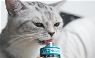 猫咪营养膏排名
