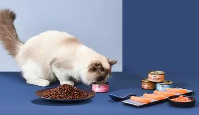 猫罐头怎么储藏