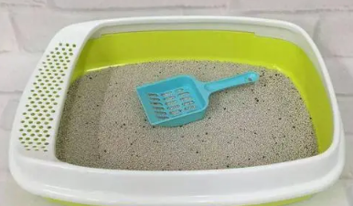 猫砂盆是半封闭的好还是全封闭的 猫砂盆是半封闭的好还是全封闭的