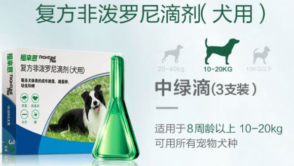 狗狗体外驱虫药能杀死跳蚤吗