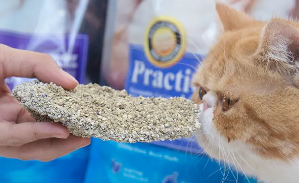 膨润土猫砂哪个好用