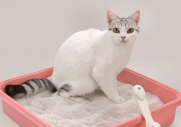 膨润土猫砂特点