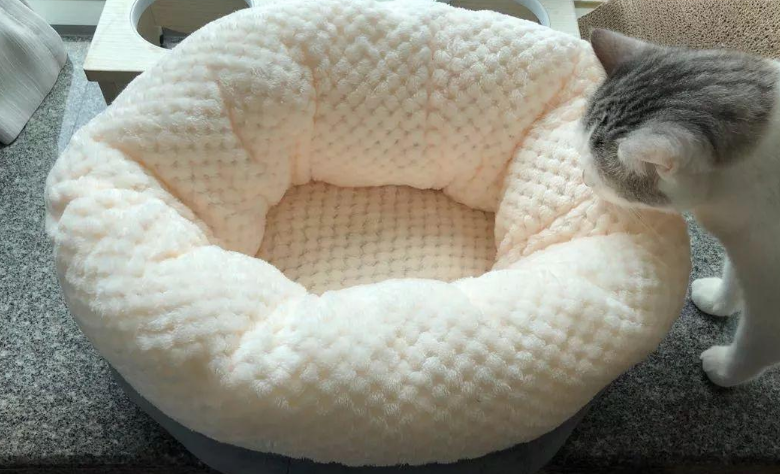 幼猫适合什么样的猫窝 幼猫适合什么样的猫窝