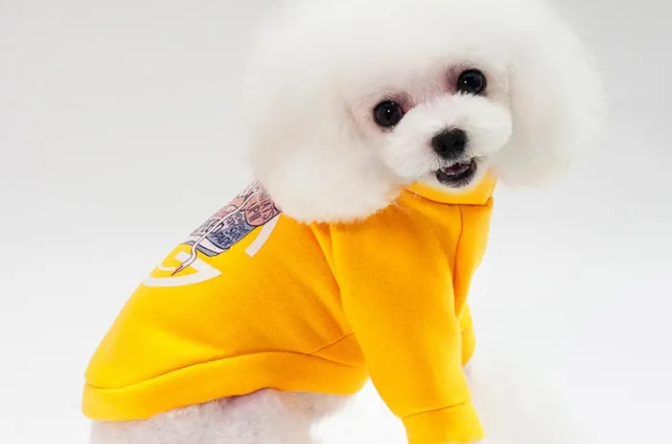 狗狗衣服怎么挑